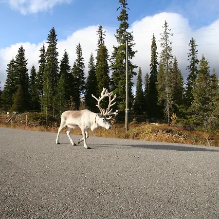 Hoviranta Nyaraló *