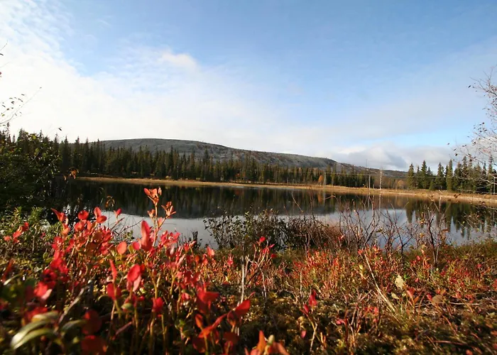 בית נופש Hoviranta