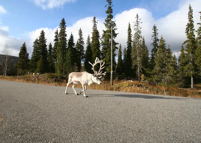 Hoviranta בית נופש *